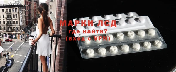 хмурый Абаза