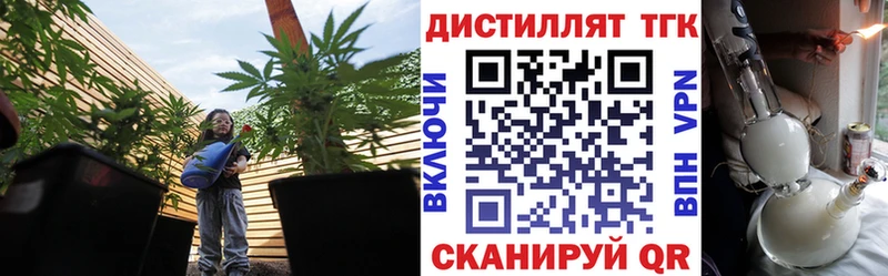 гидра ССЫЛКА  Старая Русса  ТГК Wax 