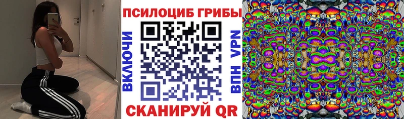 сколько стоит  Старая Русса  Галлюциногенные грибы Psilocybine cubensis 